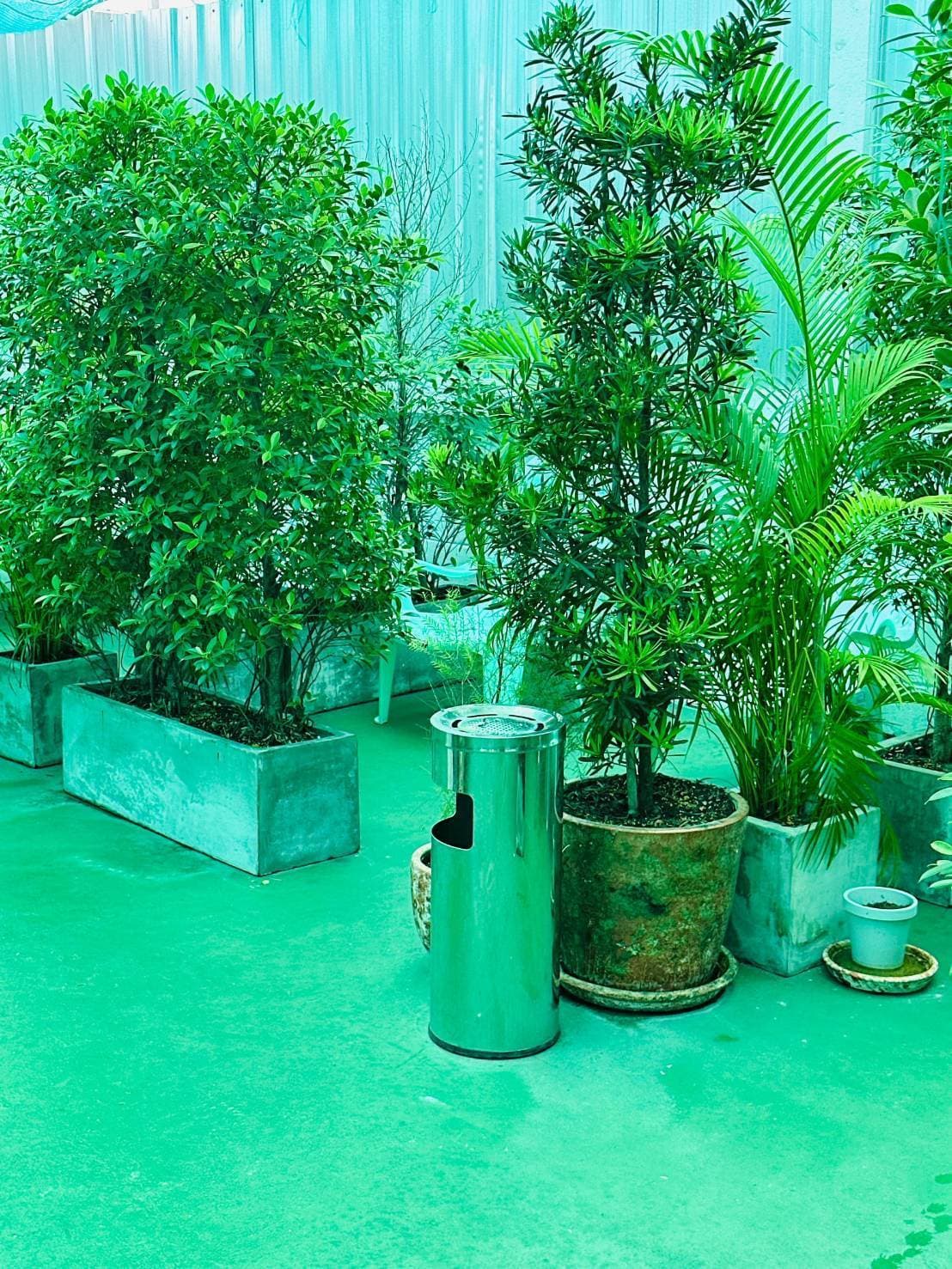 Outdoor Garden & Patio
