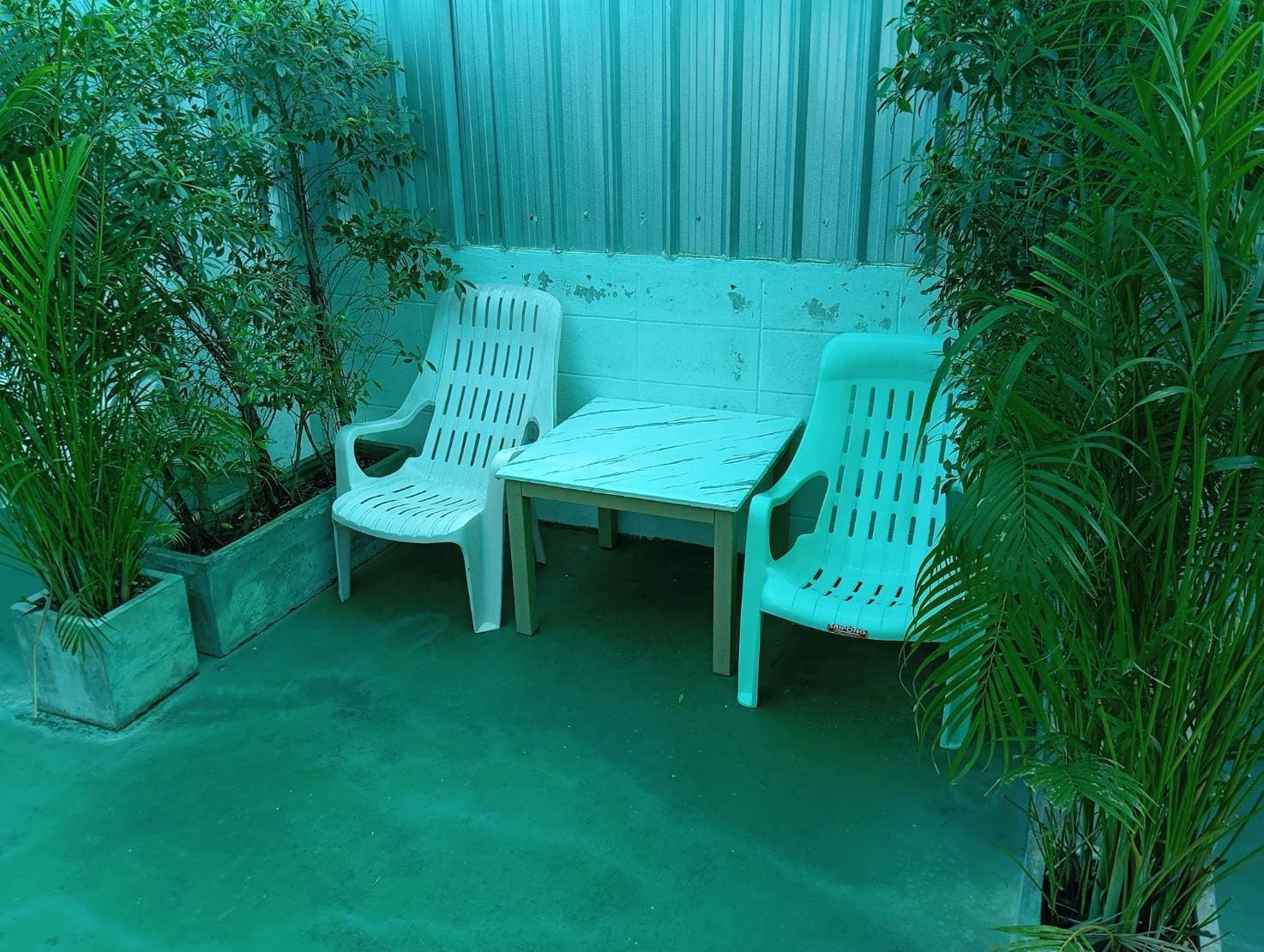 Garden Oasis