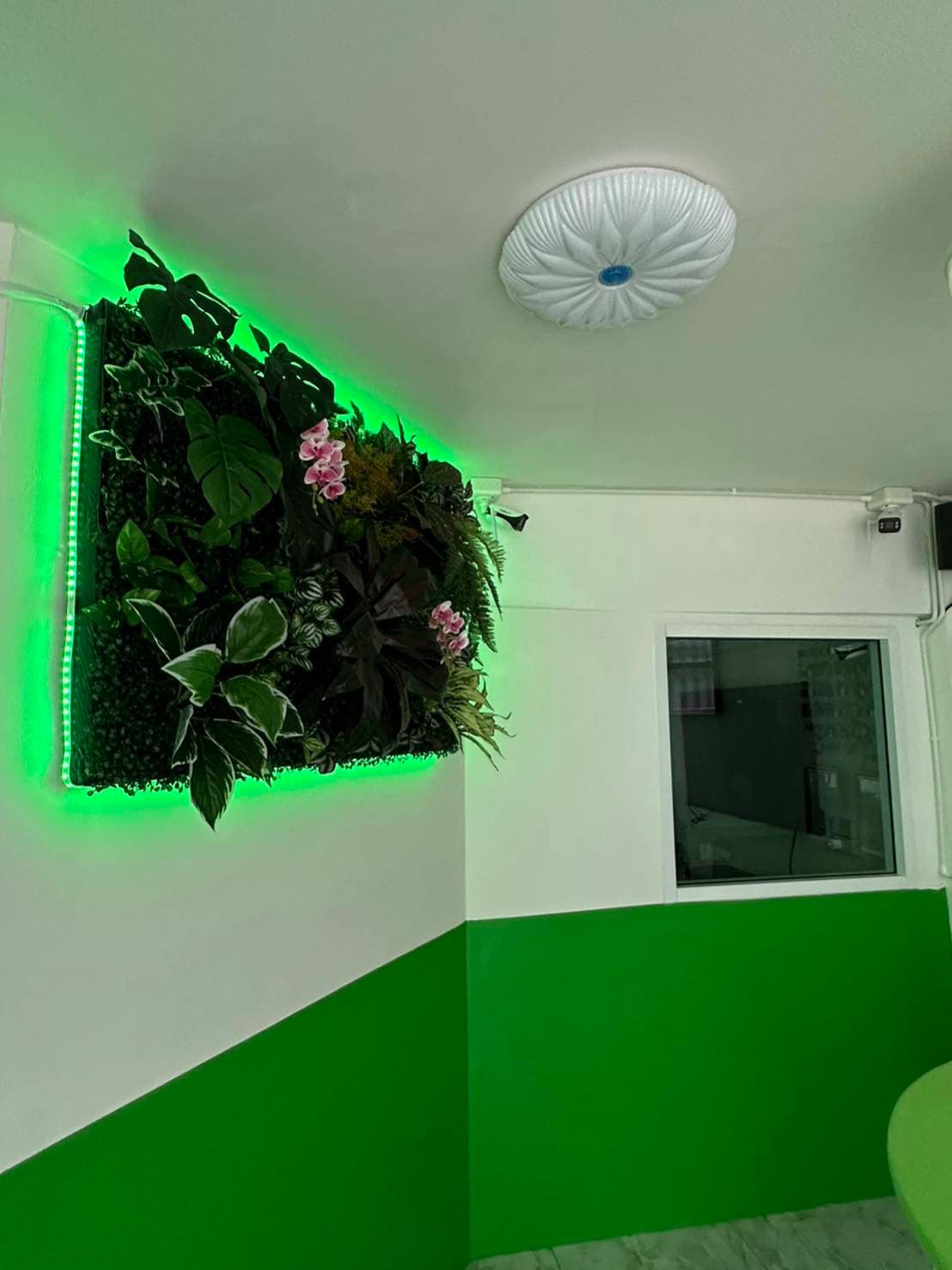 Green Wall Reception